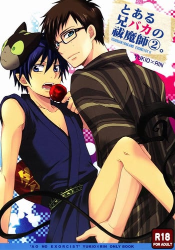 (Ao no Seiiki Lv.2) [USAKAZI. (Nanjou Tsugumi)] To Aru Ani-Baka no Exorcist 2. (Ao no Exorcist)