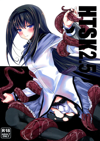 (C85) [HTSK (NLSHLYUKL)] HTSK2.5 (Puella Magi Madoka Magica)