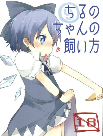 (C79) [Okota to Mikan, Arysuivery, Chiyohan (pun2, Ayakase Riberi, Chiyoko)] Cirno-chan no Kaikata (Touhou Project)