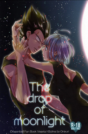 (C82) [Hatarakimasen.. (Oniyuri)] The drop of moonlight (Dragon Ball Z) [English] [something or nothing scans]