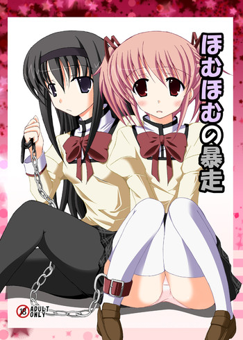 [DreamProject (Yumeno Shiya)] Homu Homu no Bousou (Puella Magi Madoka Magica) [Digital]