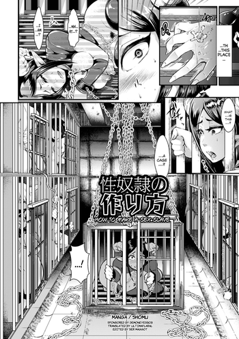 [Shomu] Seidorei no Tsukurikata | How to Make a Sex Slave (Kabe ni Umekomareta Shoujo de Seiyoku Shori Vol. 2) [English] [Ultimaflaral] [Digital]