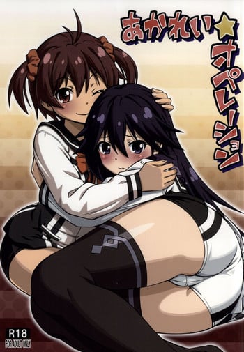 (C87) [YOU2HP (YOU2)] AkaRei☆Operation (Vividred Operation) [English]