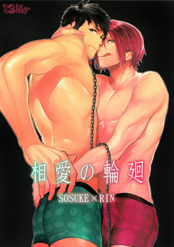 (HaruCC20) [Yakiniku Teishoku (Megumi)] Souai no Rinne (Free!)