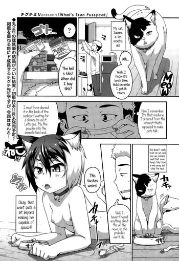[Chiguchi Miri] What's Tsun Pussycat (COMIC LO 2015-08) [English] {5 a.m.}