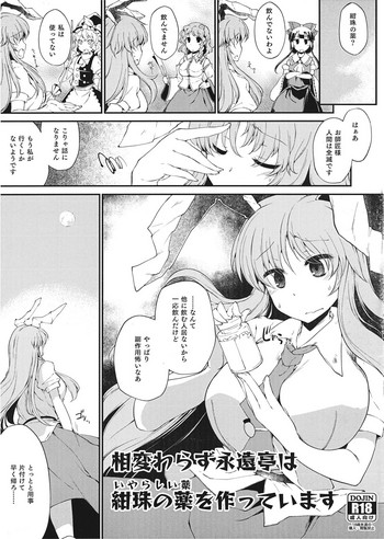 (Shuuki Reitaisai 2) [IncluDe (Foolest)] Aikawarazu Eientei wa Iyarashii Kusuri o Tsukutteimasu (Touhou Project)