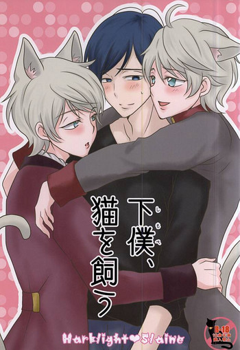 (SPARK10) [Aoi-Ro-Ramune (Fuyusaki Lamune)] Geboku, Neko o Kau (ALDNOAH.ZERO)