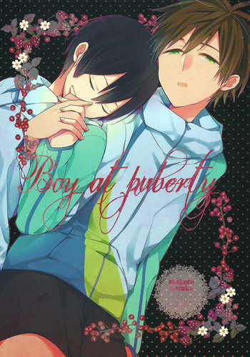(SPARK8) [Otawamure GO!GO! (Nimoda Ai)] Boy at puberty (Free!) [English] [Seabreeze Romance Scans]