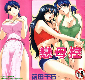 [Maeda Sengoku] Famicon. [Chinese]