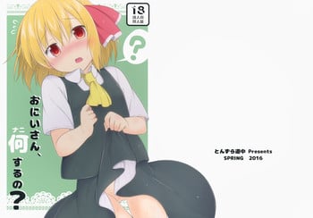 (Reitaisai 13) [Tonzura Douchuu (Kazawa)] Onii-san, Nani Suru no? (Touhou Project)