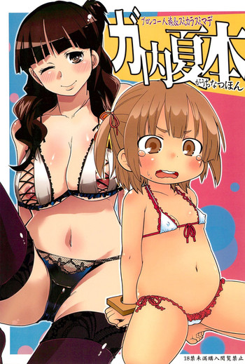 (C78) [Bronco Hitoritabi, Sumi kara Sumi made (Uchi Uchi Keyaki, Gabyo Nuno) GaUchi Natsu Hon (Mitsudomoe)