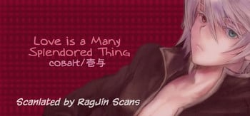(SUPERKansai16) [cobalt (Iyo)] Shikarubeki Soukan | Love is a Many Splendored Thing (Blazblue) [English] [RagJin Scans]