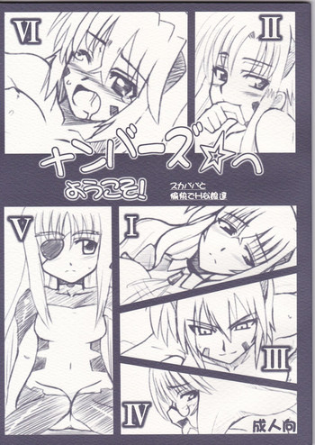 (SC37) [Take Out (Zeros)] Numbers e Youkoso (Mahou Shoujo Lyrical Nanoha)