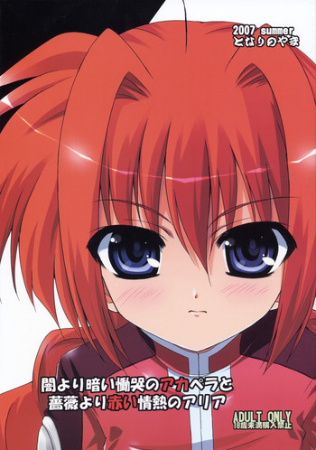 (C72) [Tonarinoyama (Yokoyama Kouji)] Yami yori Kurai Doukoku no A capella to Bara yori Akai Jounetsu no Aria (Mahou Shoujo Lyrical Nanoha)