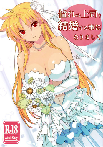 (C93) [Studio Himawari (Himukai Kyousuke)] Akogare no Joushi to Kekkon Suru Koto ni Narimashite (Mahou Shoujo Lyrical Nanoha)