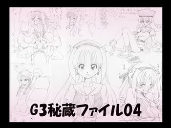 [e] G3 Hizou File 04