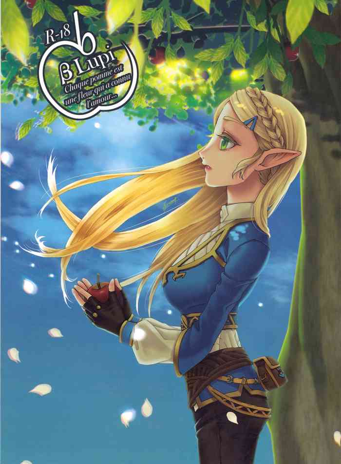 (ALL STAR 9) [MYLAB (Shiroa Urang)] βLupi (The Legend of Zelda) [English]