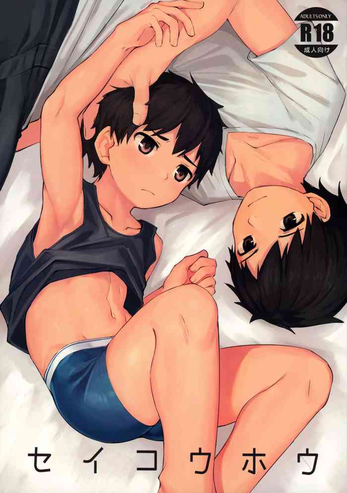 (C97) [C-O-Two- (Nayoshi)] Seikouhou [English] [Anzu]
