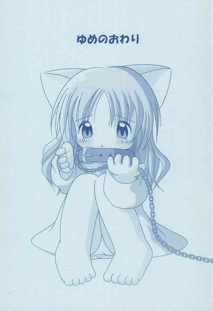 (COMITIA65) [Puni Puni Donburi (Seikichi)] Yume no Owari