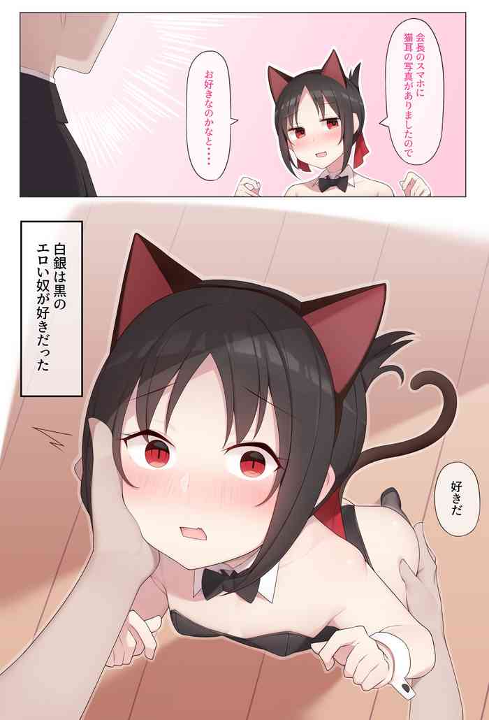 [Alapi] Nekomimi no Kaguya-sama (Kaguya-sama wa Kokurasetai)