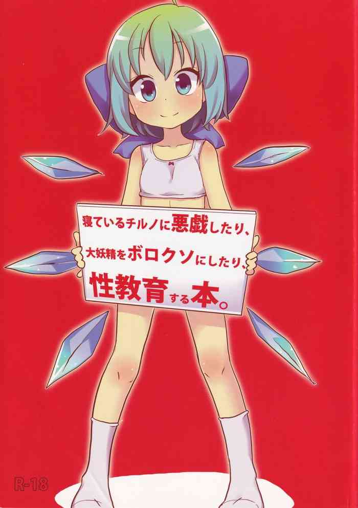 [Nukoo-sama Paradise (Nukoo-sama)] Neteiru Cirno ni Itazura Shitari Daiyousei wo Borokuso ni Shitari Seikyouiku Suru Hon. (Touhou Project)