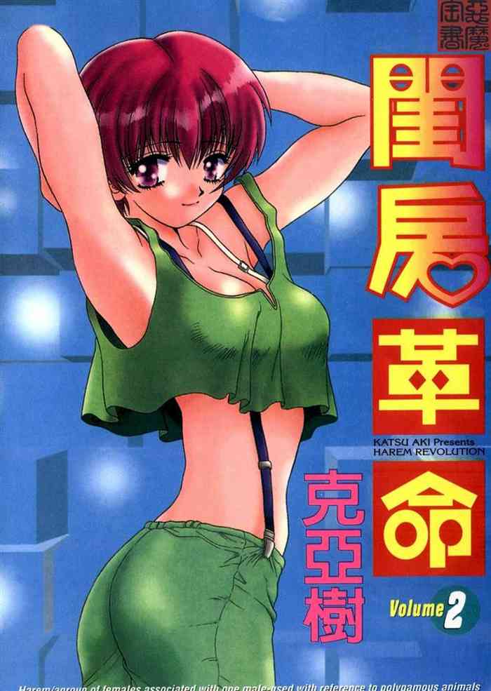 [Katsu Aki] Harem Kakumei 2 | 閨房革命2 [Chinese]