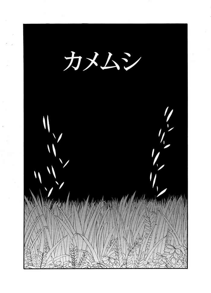 [mitumizo] [Doubutsutachi Seikatsu Zukan] Shiriizu Kamemushi