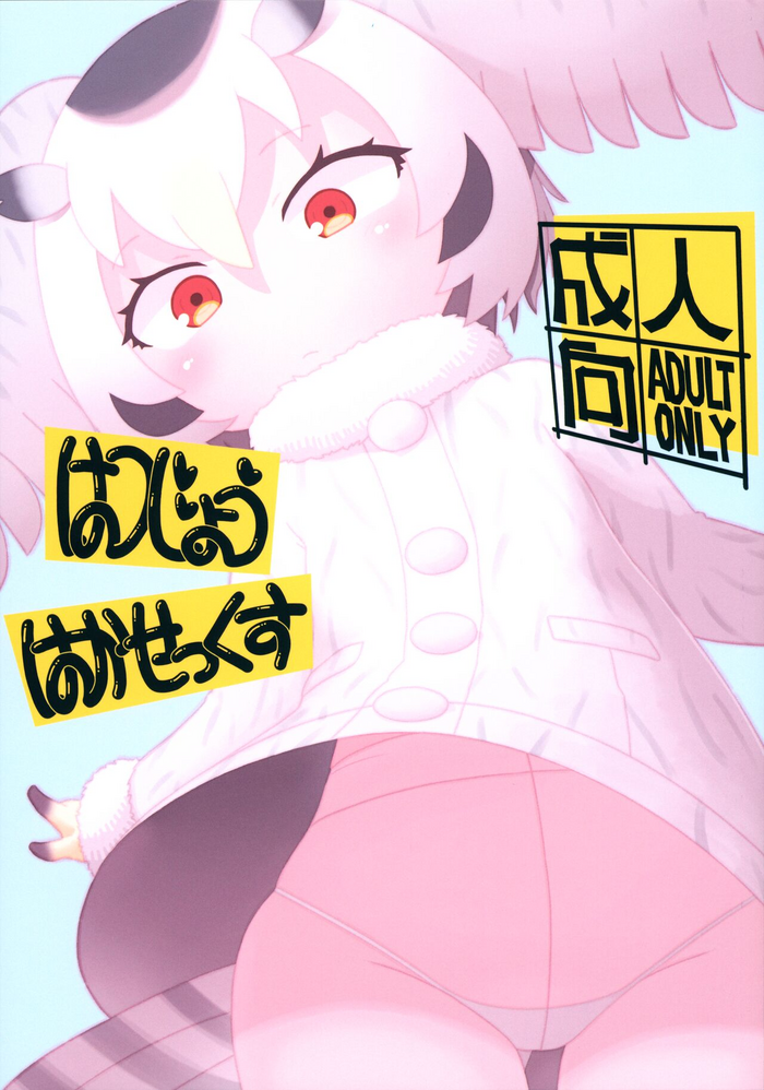 (C100) [Sumi kara Sumi made (Gabyonuno)] Hatsujou Hakasex (Kemono Friends)