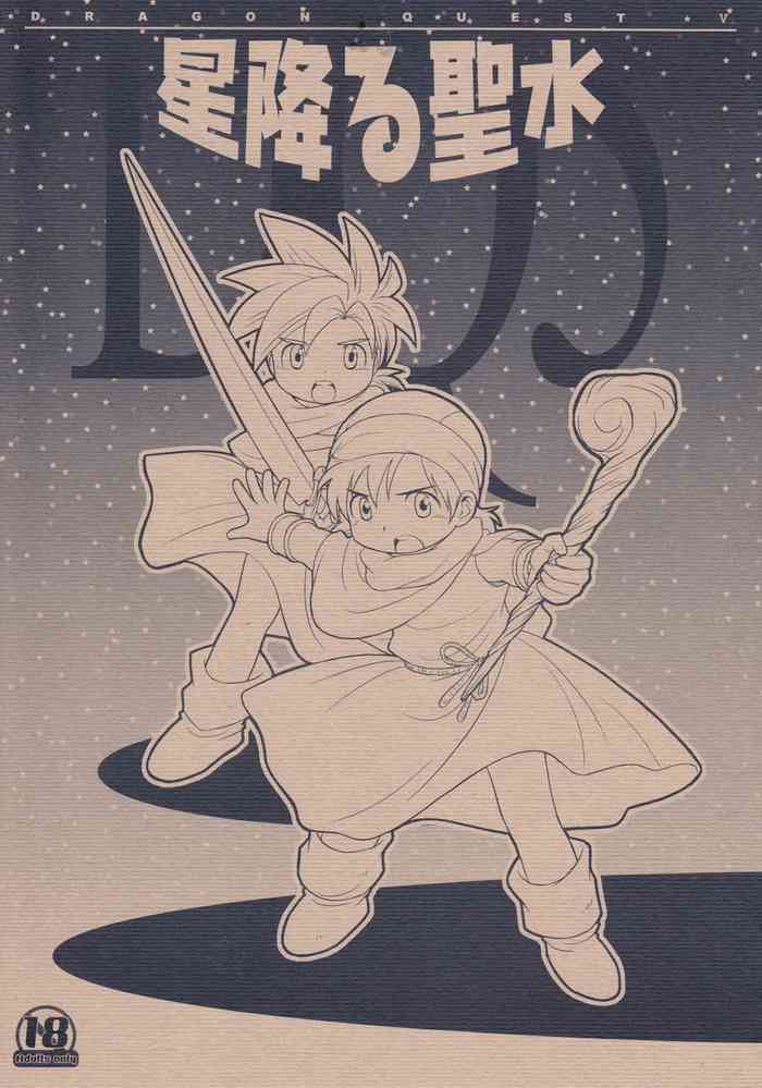 (Shotaket 10) [Tokuda (Ueda Yuu)] Hoshifuru Seisui (Dragon Quest V) [English] [Hikaru Scans]
