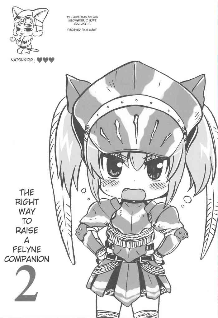 QPchick 14 Kanzenban (Monster Hunter) Hermitaur Armor [English]