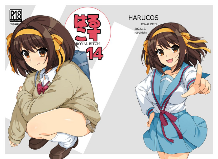[Royal Bitch (haruhisky)] Harucos 14 (Suzumiya Haruhi no Yuuutsu) [Digital]