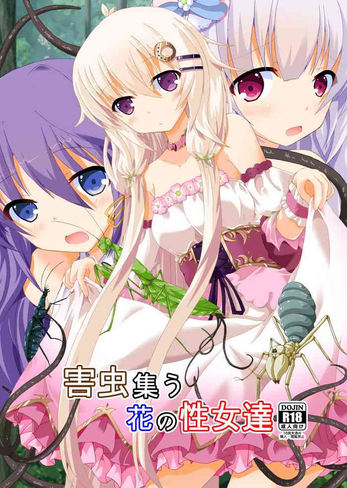 [Dream Project (Yumeno Shiya)] Gaityuu Tsudou Hana no Seijo-tachi (Flower Knight Girl) [Digital]