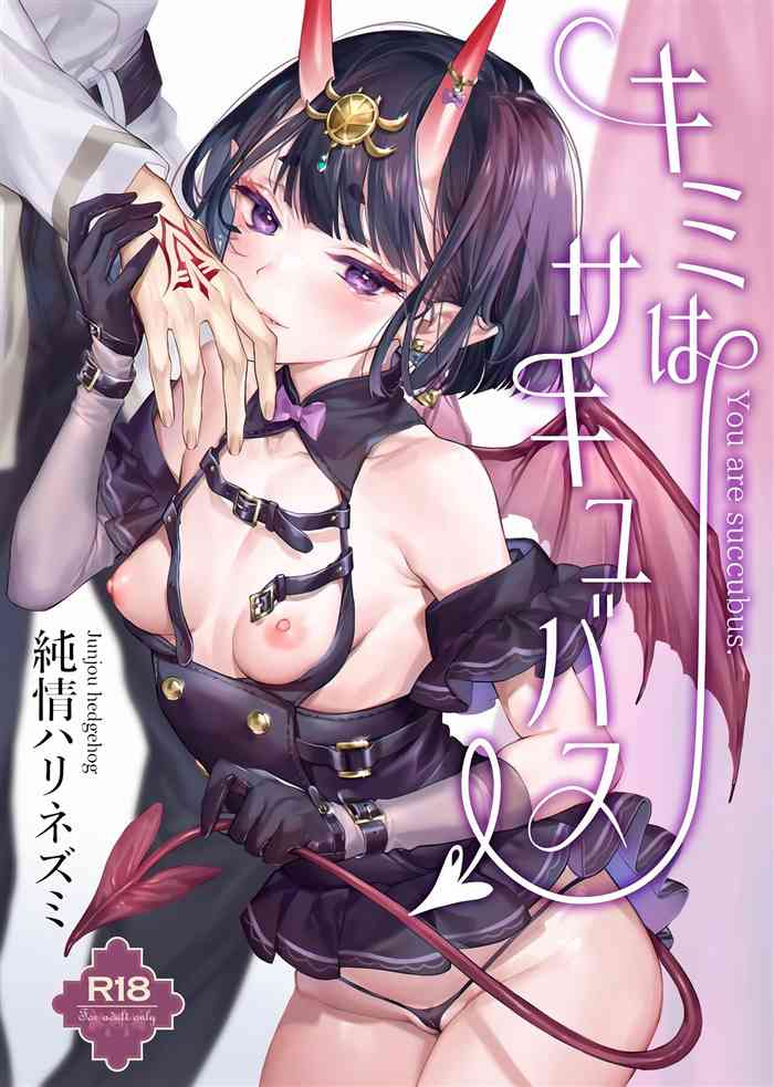 (C101) [Junjou Harinezumi (Kaguyuzu)] Kimi wa Succubus (Fate/Grand Order)