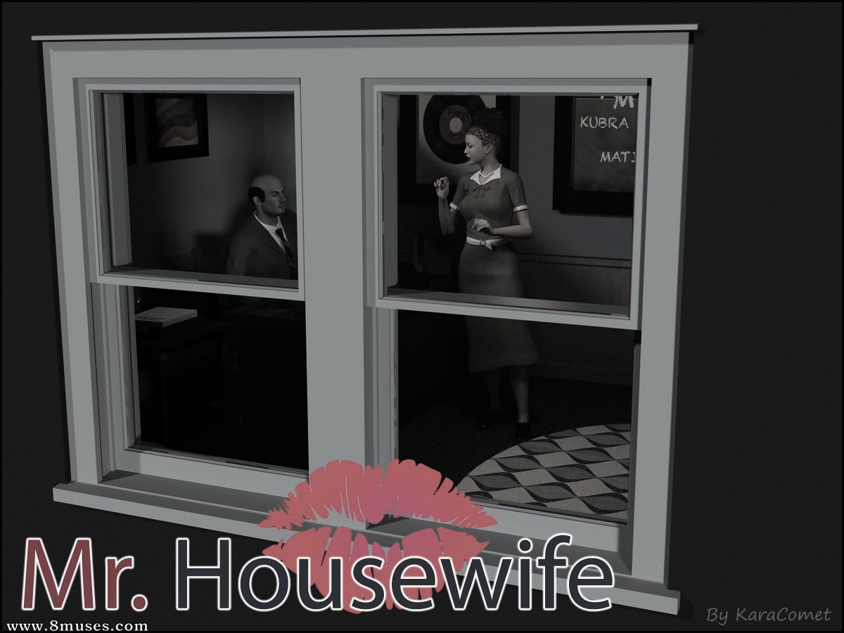 Mr. Housewife- KaraComet