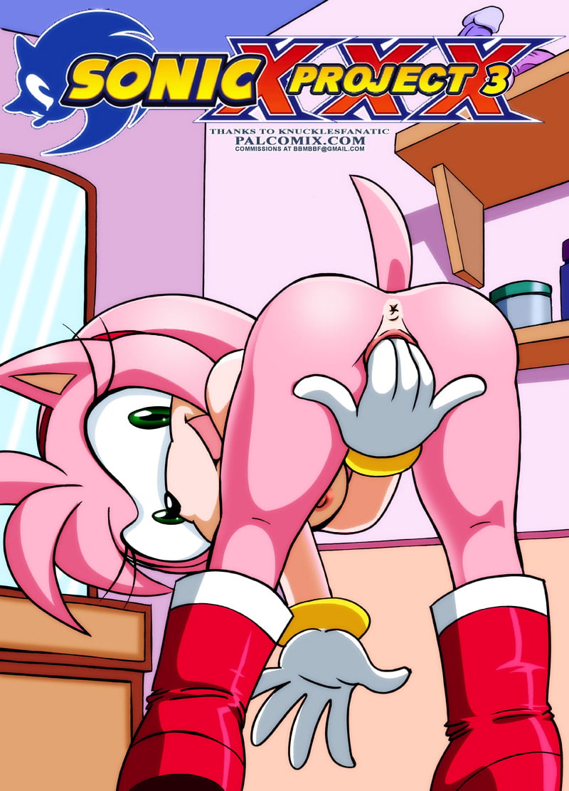 Sonic Project XXX 3- Palcomix