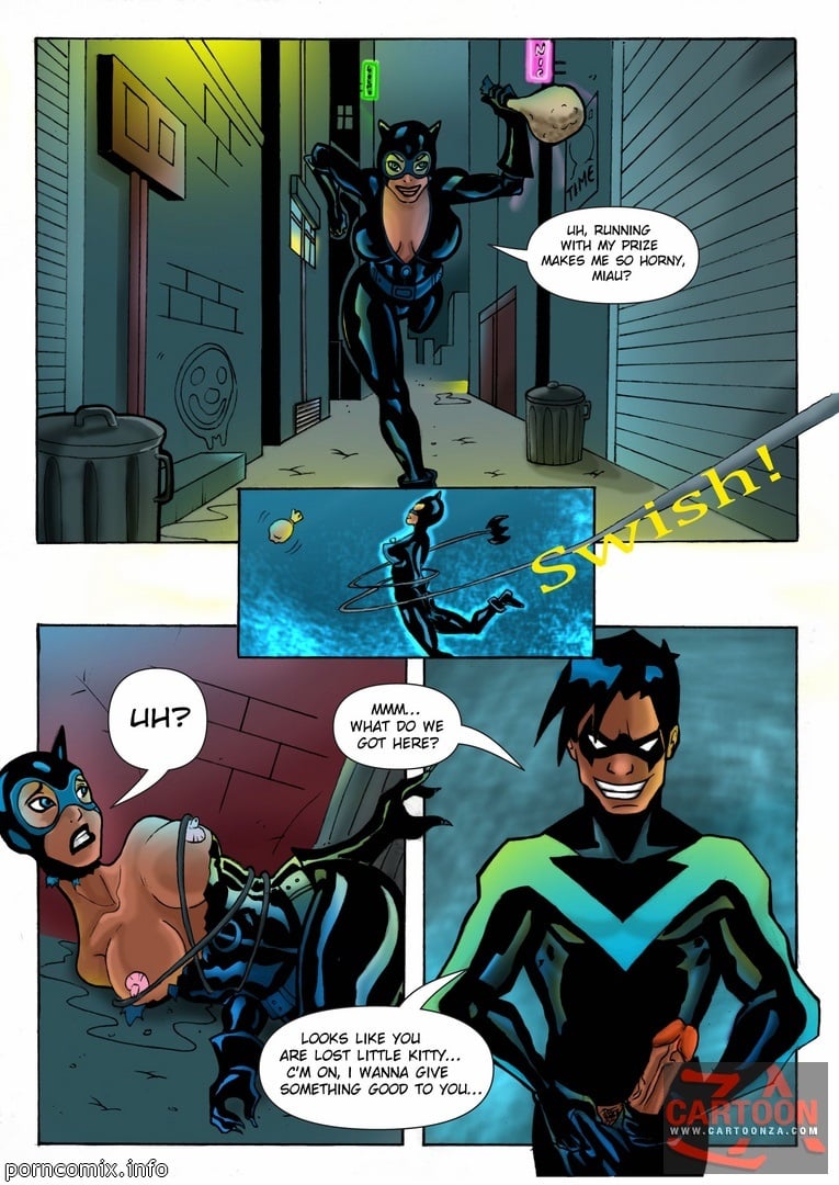 Justice League– Nightwing and Catwoman