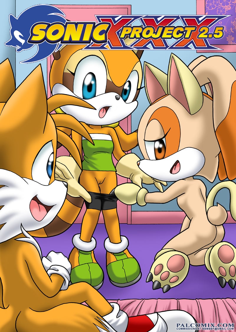 Sonic xxx Project 2.5- Pal Comix