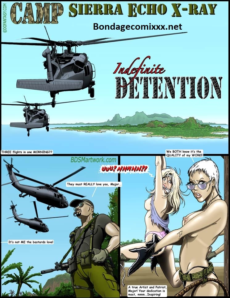 Indefinite Detention- BSDM Artwork