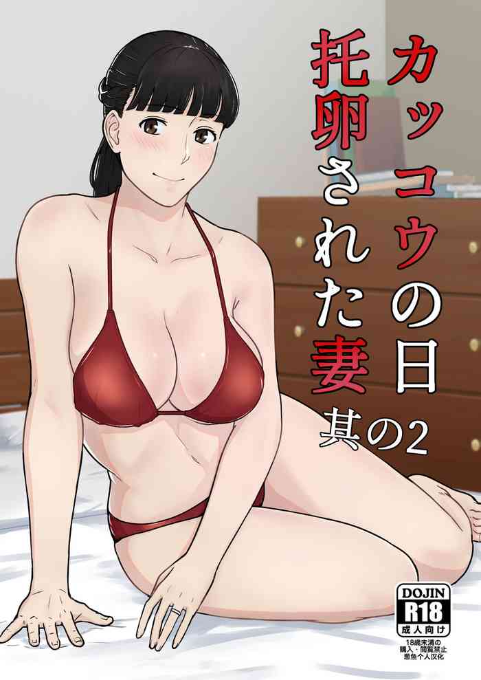 [Nanashi Novel] Kakkou no Hi Takuran Sareta Tsuma Sono 2 [Chinese] [葱鱼个人汉化]