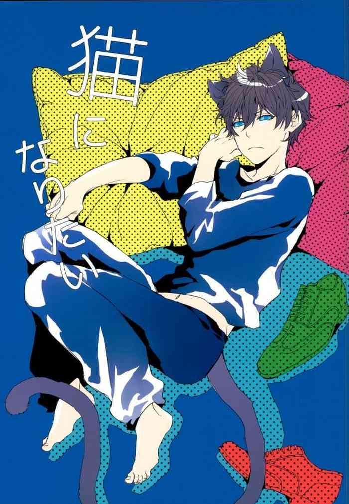 [Phenomenon (Otsu)] Neko ni Naritai (Kekkai Sensen)