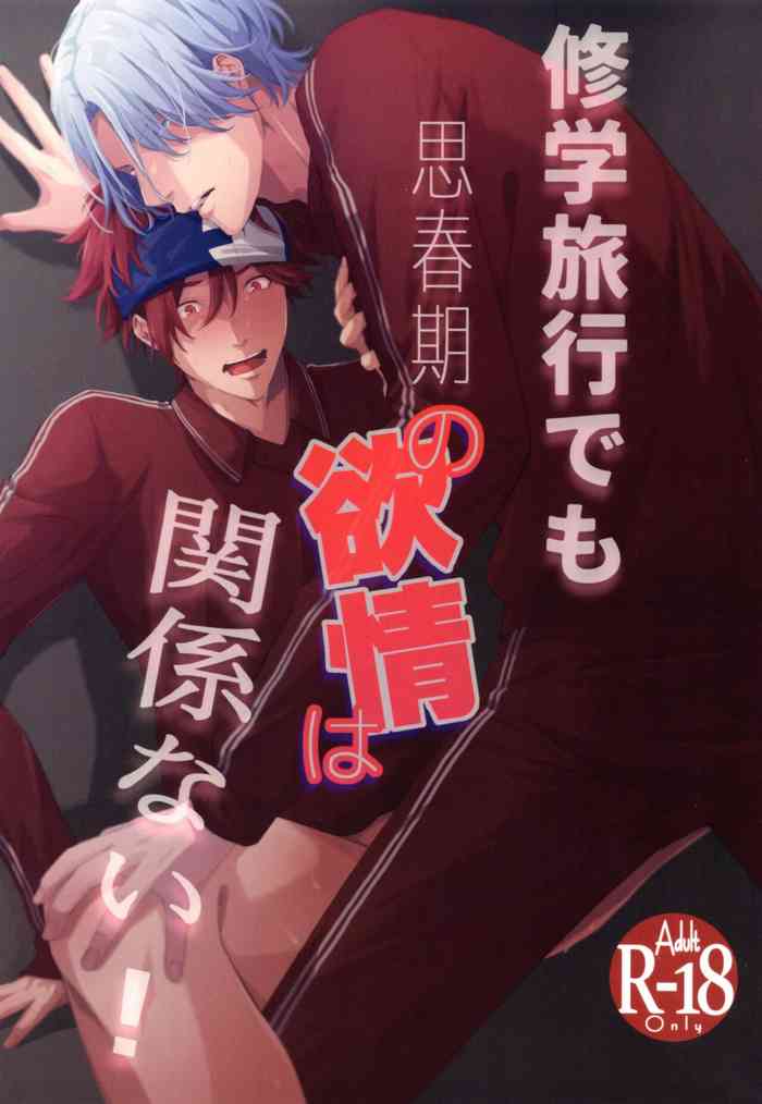 [A*NIBA (Inaba)] Shūgakuryokō demo shishunki no yokujō wa kankeinai! (SK8 The Infinity)