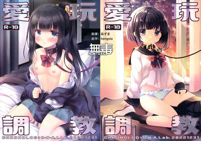 (C101) [D.N.A.Lab., CHRONOLOG (Miyasu Risa, Sakurazawa Izumi)] Aigan Choukyou [Chinese] [无毒汉化组]
