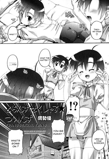 Transsexual Twins [Eng]