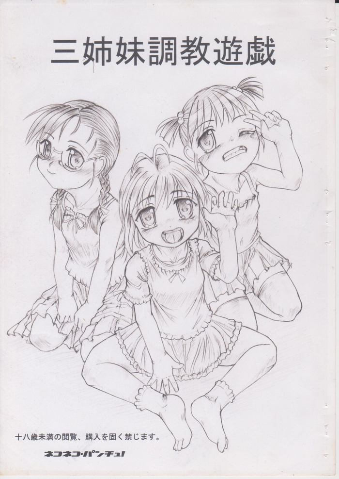 (C70) [Nekoneko Panchu! (Nekoneko Panchu)] Sanshimai Choukyou Yuugi