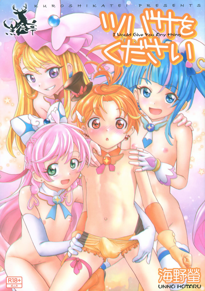 (C102) [Kuroshikatei (Unno Hotaru)] Tsubasa o Kudasai (Hirogaru Sky! Precure)