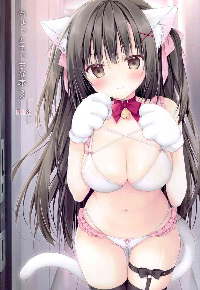 (C99) [Muzin Syoujo (Korie Riko)] Chotto Ecchi na Hon 3