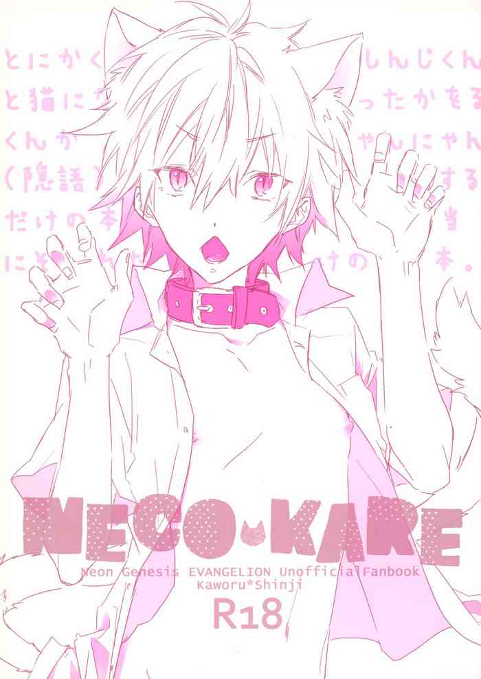 (Kimi to no Rendan 4) [Mecoro (meco)] NECOKARE (Neon Genesis Evangelion)
