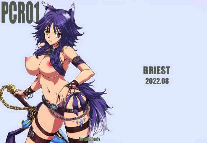 [BRIEST (Yatsushima Tetsuya)] PCR01 (Princess Connect! Re:Dive)