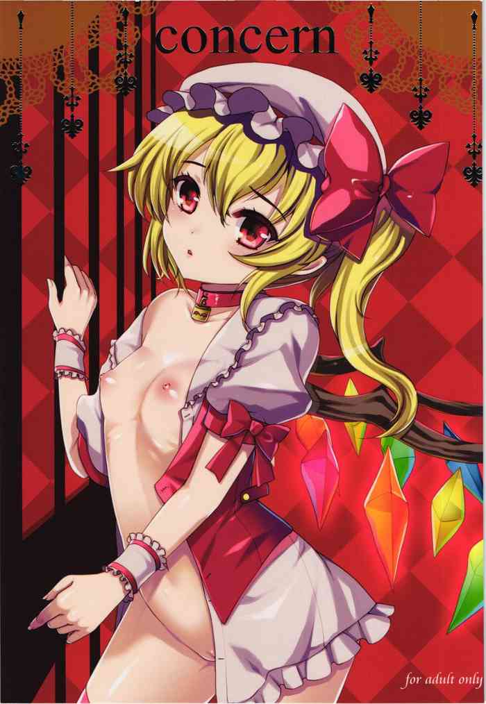 (Reitaisai 11) [Kuma-tan Flash! (Hanao.)] concern (Touhou Project) [Chinese]