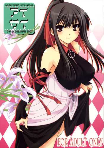 (C72) [CHAGASHI SAIBAN (Yamabuki Mook)] Aisai (Double Sensei Life) [English] [Slayerjammer]
